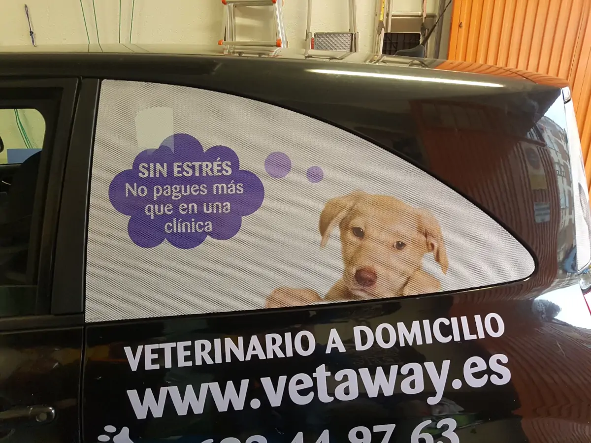 Vinilos adhesivos microperforados para cristales en Alcobendas (Madrid)